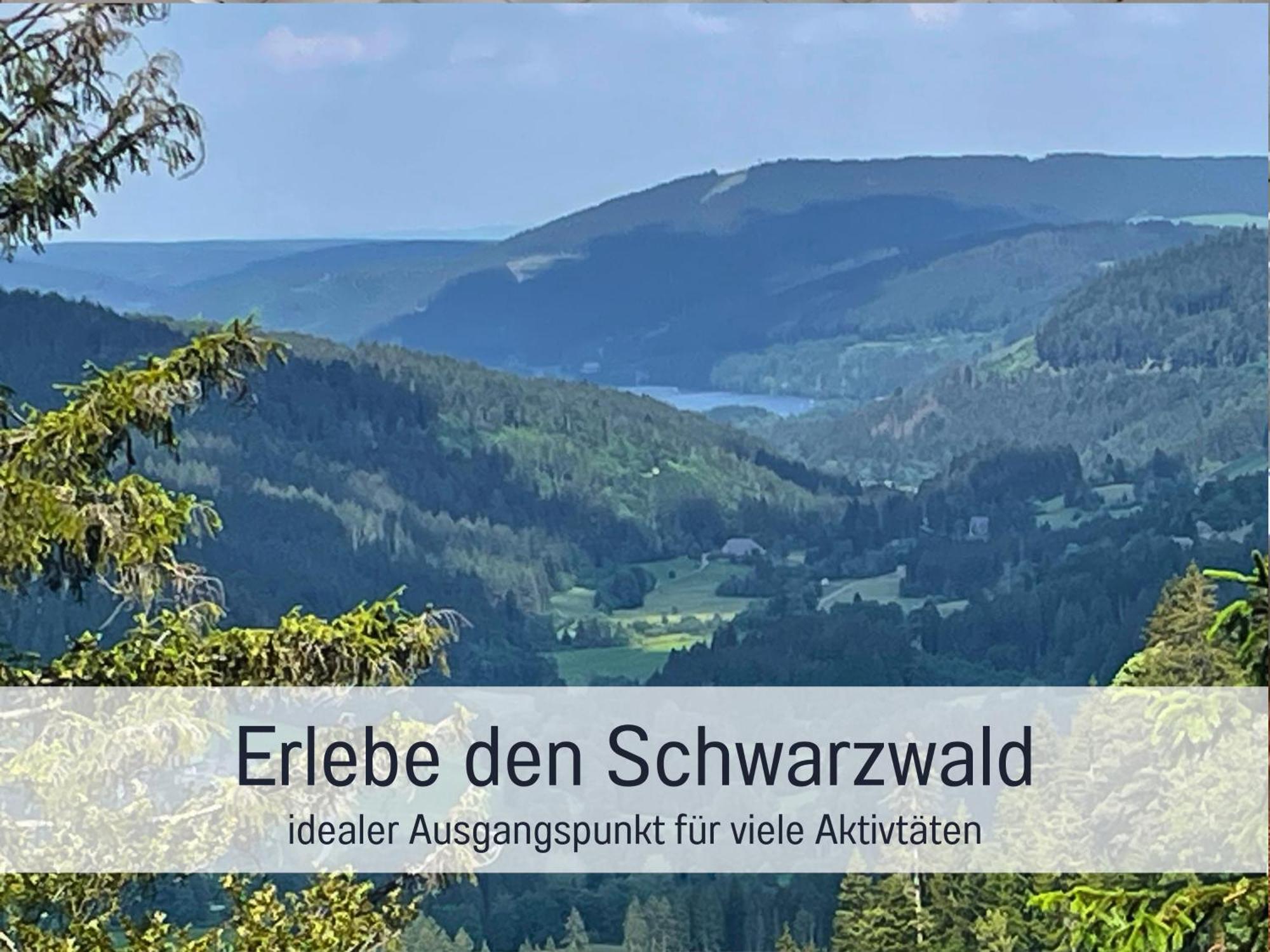 Ferienwohnungen Auszeit Langmatt Sulzburg Eksteriør bilde