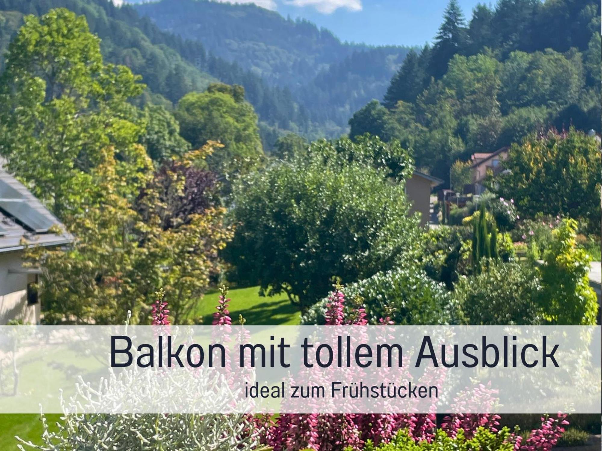 Ferienwohnungen Auszeit Langmatt Sulzburg Eksteriør bilde